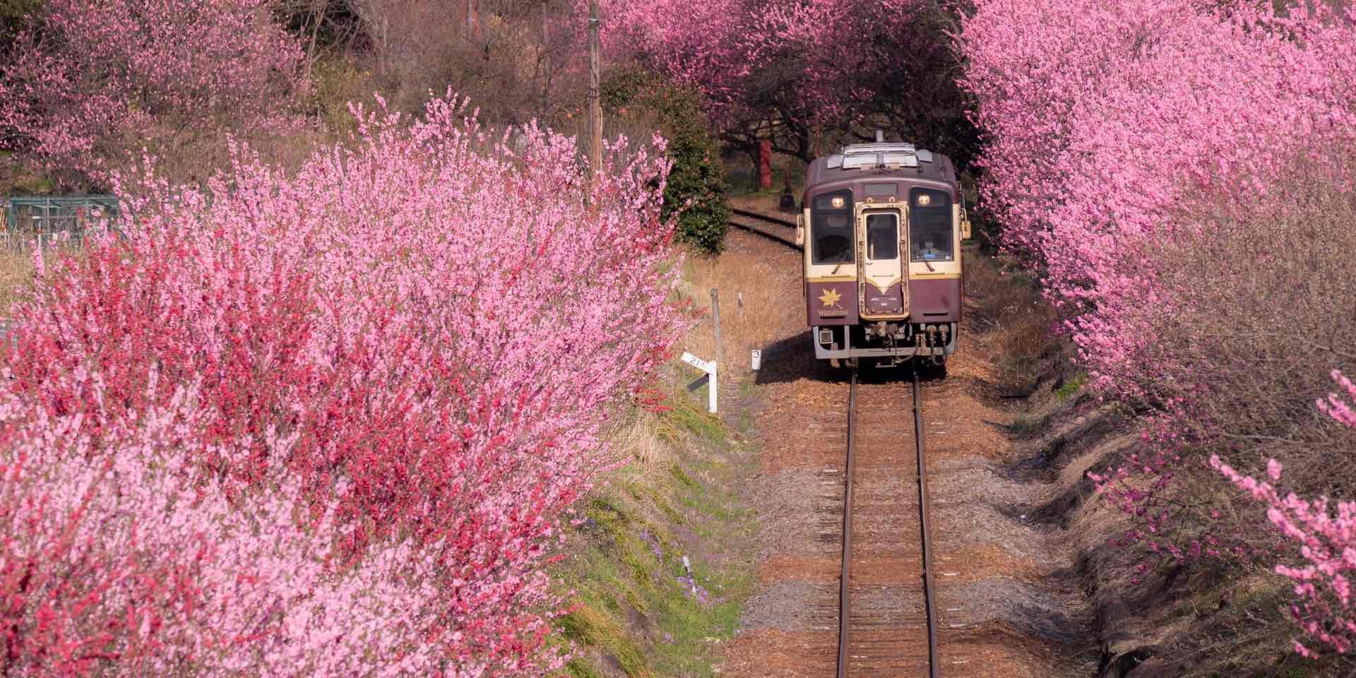 わたらせ渓谷鐵道