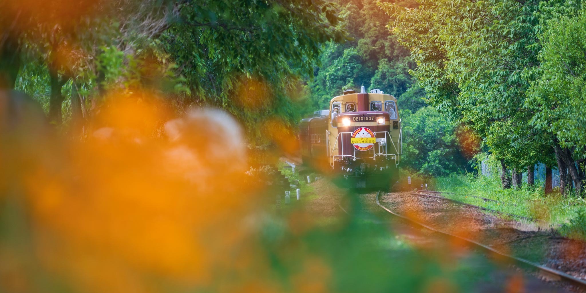 写真：わたらせ渓谷鐵道
