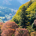 写真：農業・林業振興のイメージ