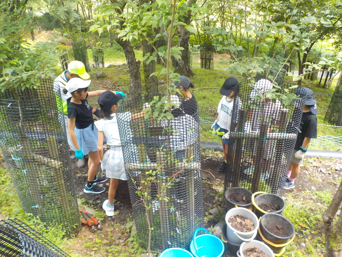写真：足尾砂防ダム松木右岸での植樹の様子2