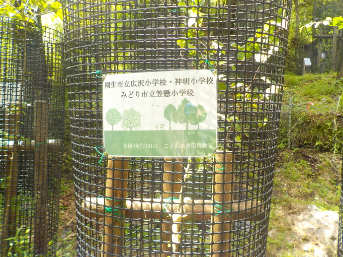 写真：足尾砂防ダム松木右岸での植樹の様子5