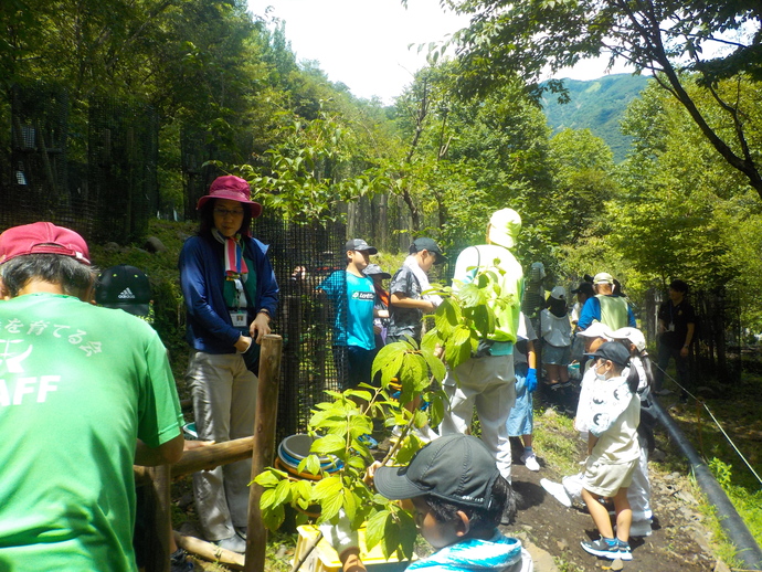 写真：足尾砂防ダム松木右岸での植樹の様子4