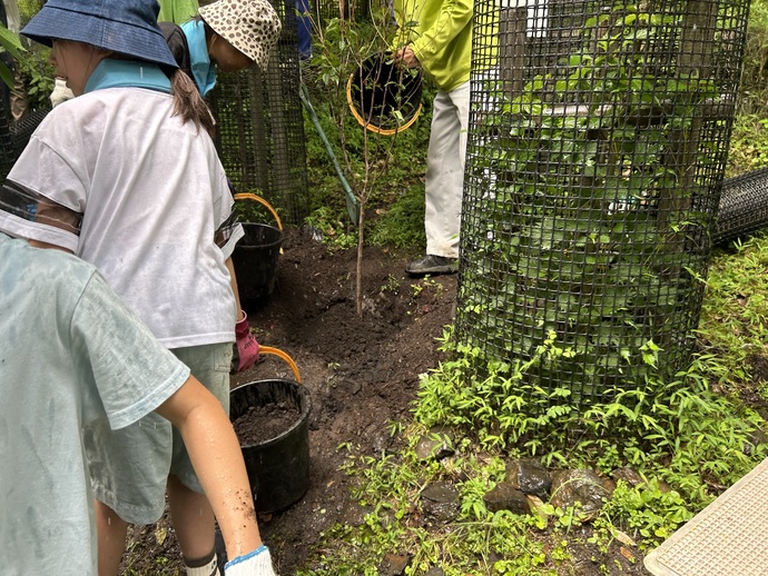 写真：足尾砂防ダム松木右岸での植樹の様子5