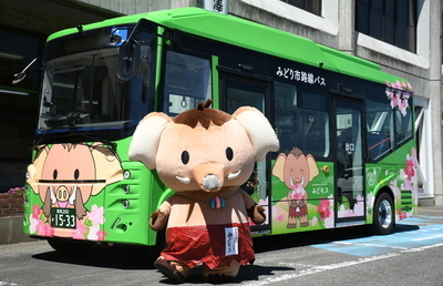 bus