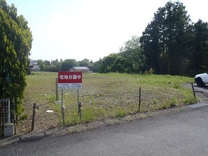 写真：区画5