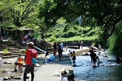 写真：小平親水公園
