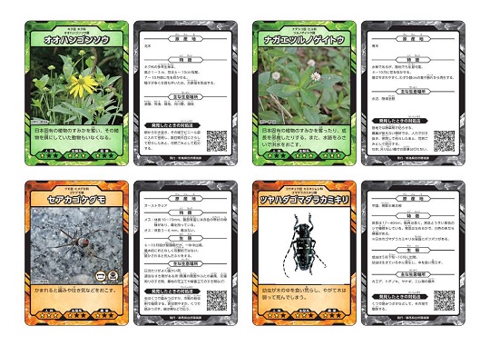 特定外来生物カード_2