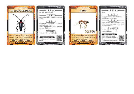 特定外来生物カード_3