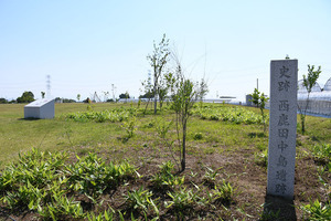 写真：西鹿田中島遺跡史跡公園1