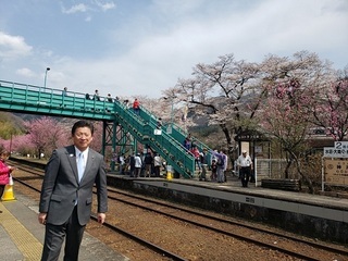 写真：第15回神戸駅花桃まつり