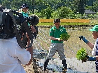 写真：田植え