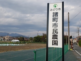 写真：みどり市諸町市民農園