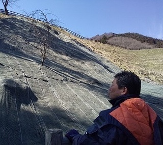 写真：東町視察（4）（富弘美術館北側法面）