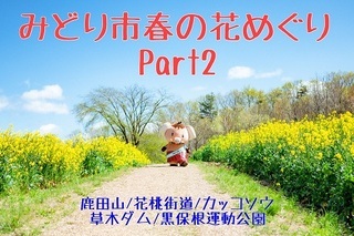 写真：エア花見動画「みどり市の春の花めぐりツアーPart（2）」