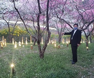 写真：小夜戸・大畑花桃ライトアップ