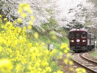 写真：みどり市が景観行政団体になりました