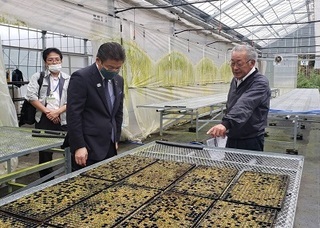 写真：わたらせ樹木育苗センター視察