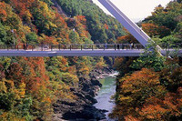 写真：高津戸峡遠景