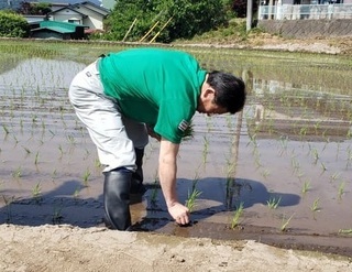 写真：耕作放棄地での田植え