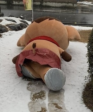 写真：みどモス転ぶ