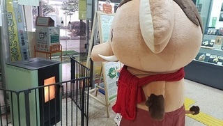 写真：みどモス
