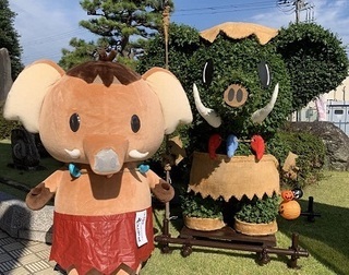 写真：ながめ公園で第65回関東菊花大会開催中
