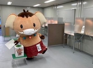 写真：期日前投票に行きましょう