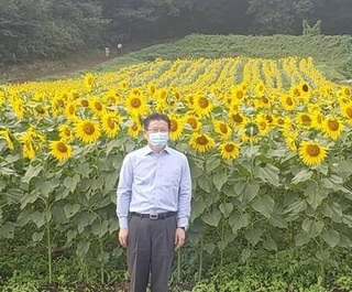 写真：満開のひまわり・みどり市