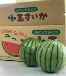 写真：小玉すいか