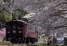 写真：わ鉄2