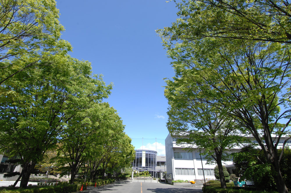 写真：桐生大学