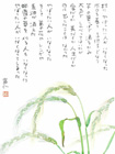 画像:畦道の草