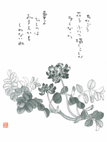 画像:れんげそう
