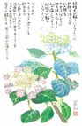 写真；結婚指輪
