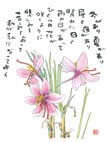 写真；悲しみの意味