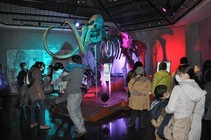 写真:ライトアップされるマンモス