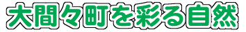 画像：おおまままちをいろどるしぜん