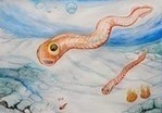 イラスト：コノドント生物の想像図