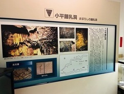 写真：「小平鍾乳洞」の展示