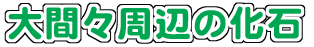 画像：おおまましゅうへんのかせき