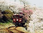 写真:列車