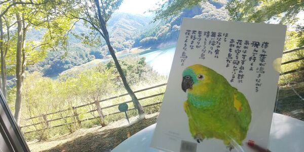 写真：あーちゃん