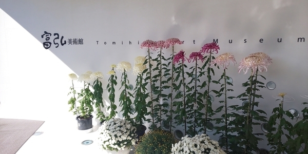 写真：企画展のポスター