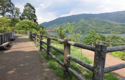 写真：遊歩道
