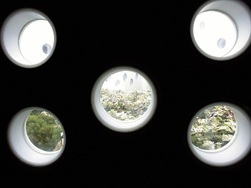 写真：光庭2