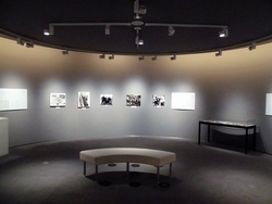 写真：展示室1