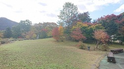 写真：紅葉1