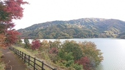 写真：紅葉2