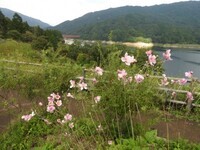 写真:鈴の鳴る道1