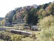 写真：鈴の鳴る道9